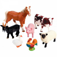 Echange de pratiques sur les retraits d'animaux