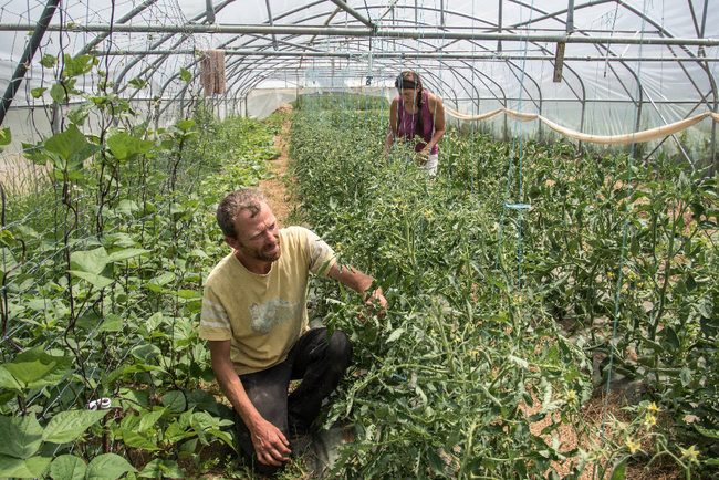 maraicher et maraichère en montagne