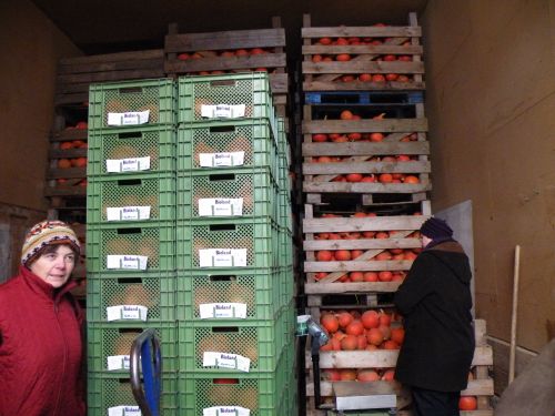 Visite d'une exploitation agricole Visite d'une exploitation agricole