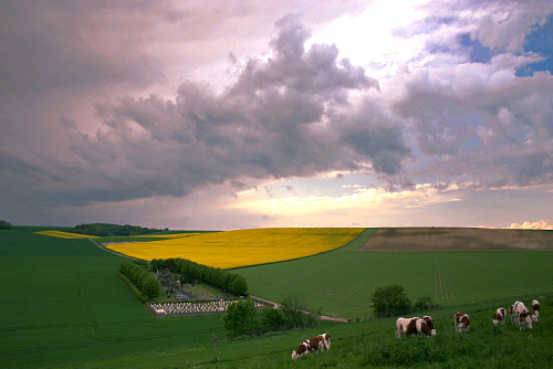 Juste avant l'orage Juste avant l'orage