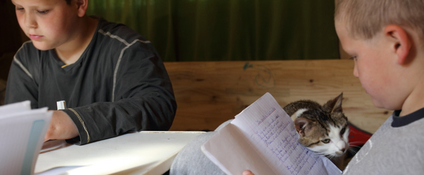 Le Revenu De Solidarite Active Rsa