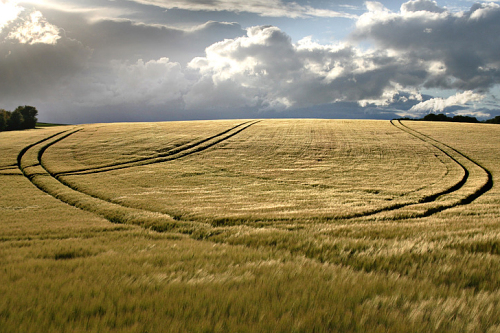 Graphisme agricole