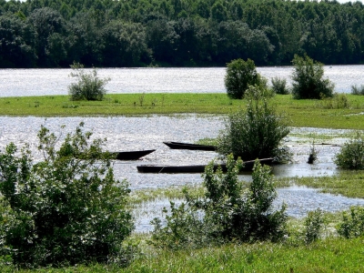 Futreaux en bord de Loire