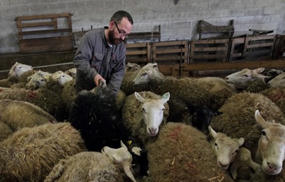 Liquidation amiable et action en justice Liquidation amiable et action en justice